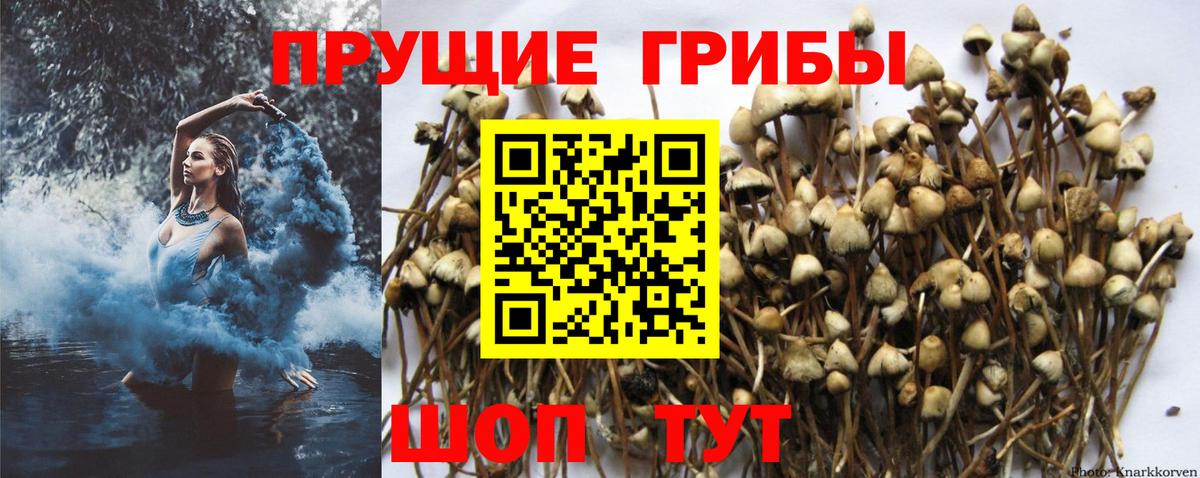 Галлюциногенные грибы ЛСД  Вход с VPN  магазин    Псилоцибиновые грибы ЛСД  Белореченск 
