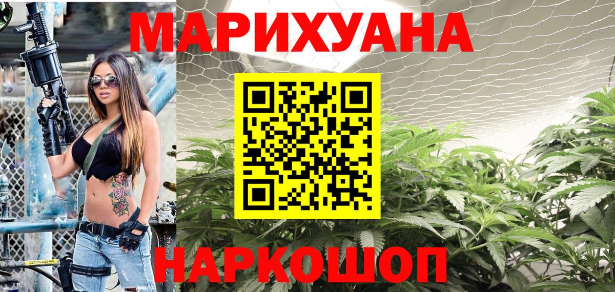 Каннабис сатива Белореченск